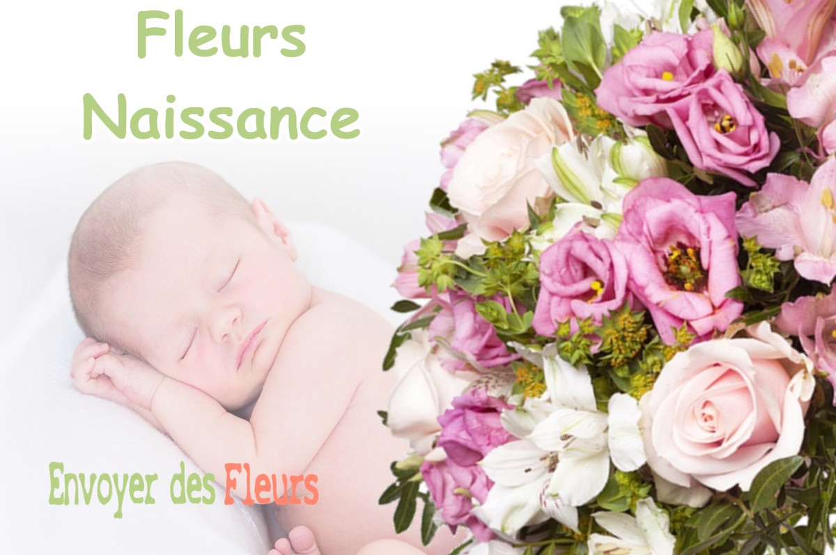 lIVRAISON FLEURS NAISSANCE à FOUGARON